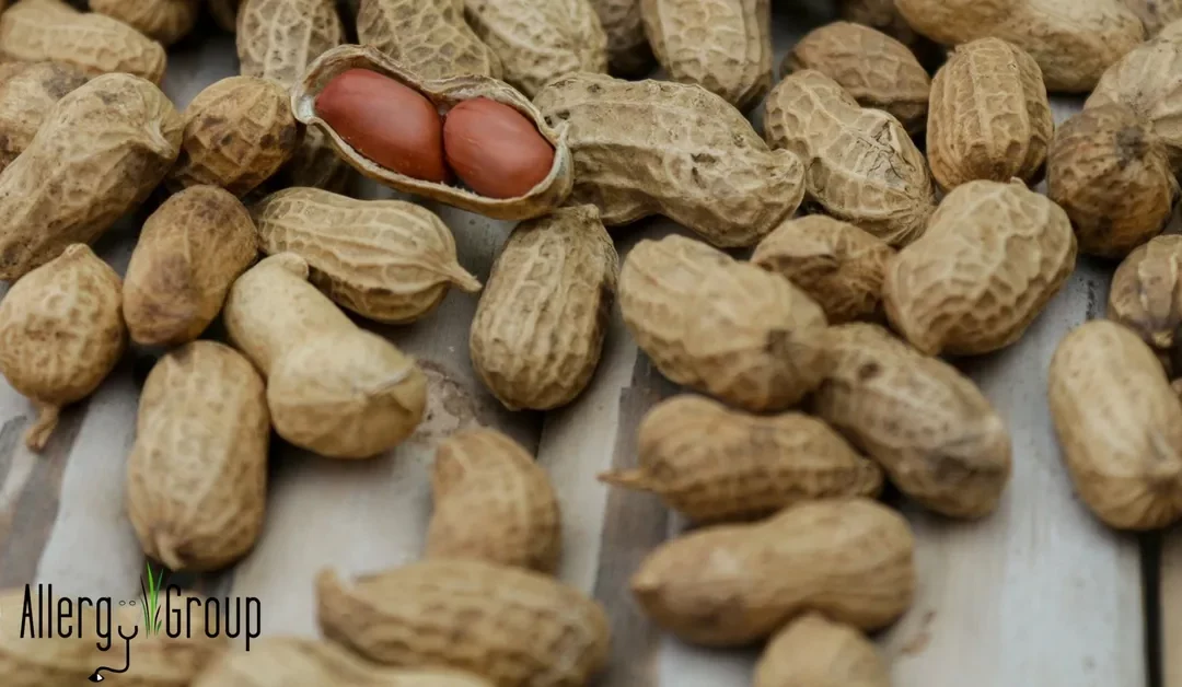 new peanut allergy reccomendations