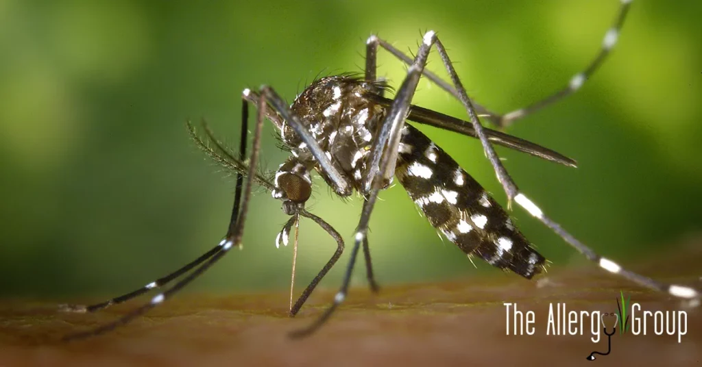 the allergy group allergic to mosquitoes blog