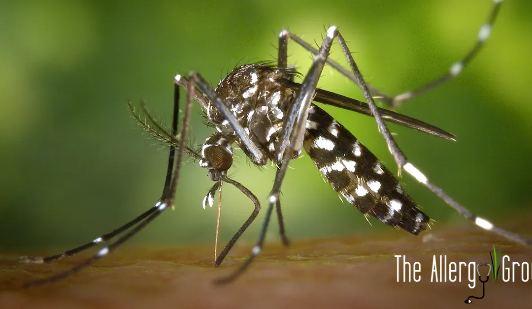 the allergy group allergic to mosquitoes blog
