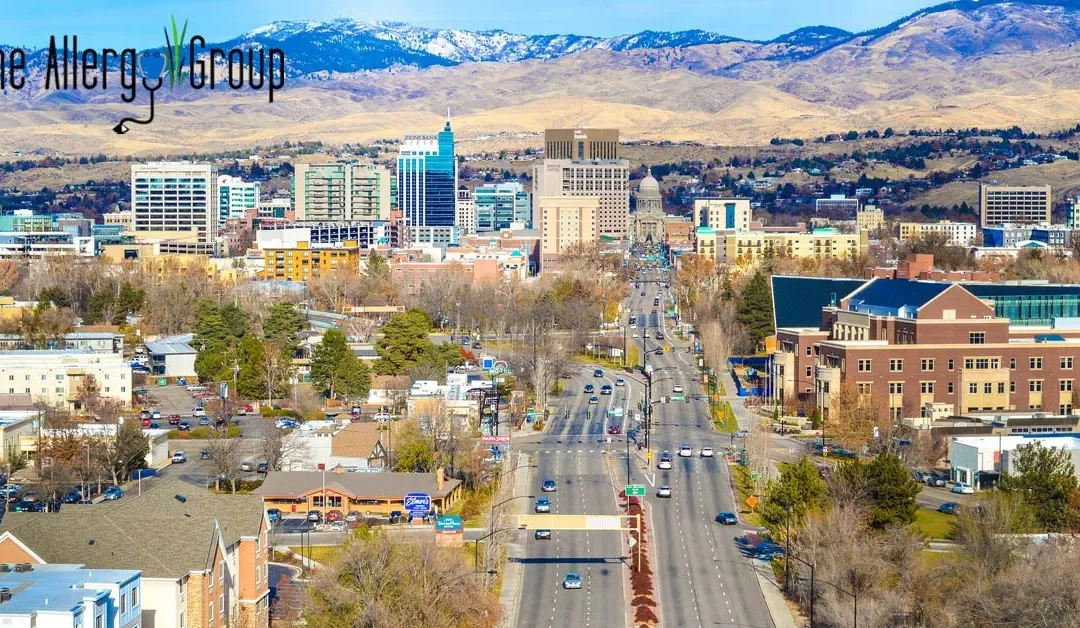 Moving to Boise, Idaho? Here’s What You Need to Know About Allergies & Asthma in Boise