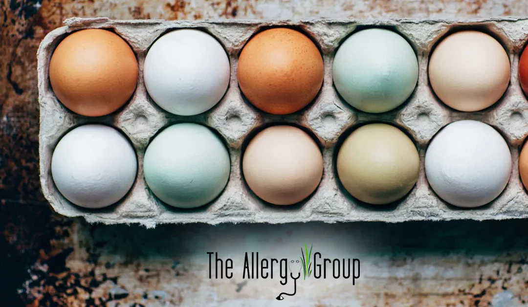 Oral Immunotherapy for the Treatment of Egg Allergies